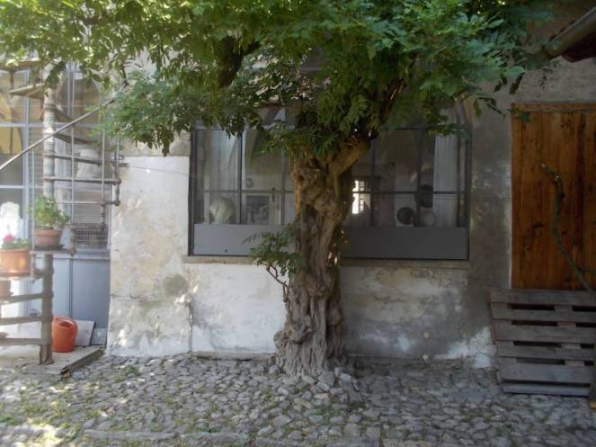 DSCN0623 (FILEminimizer)