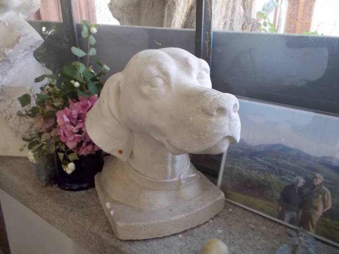 DSCN0640 (FILEminimizer)