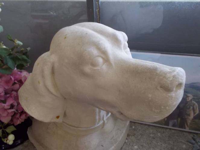 DSCN0641 (FILEminimizer)