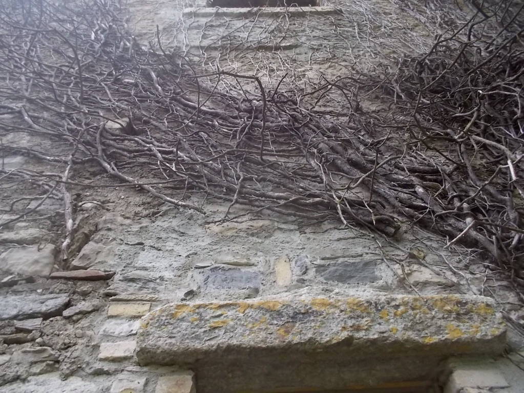 DSCN0658 (FILEminimizer)