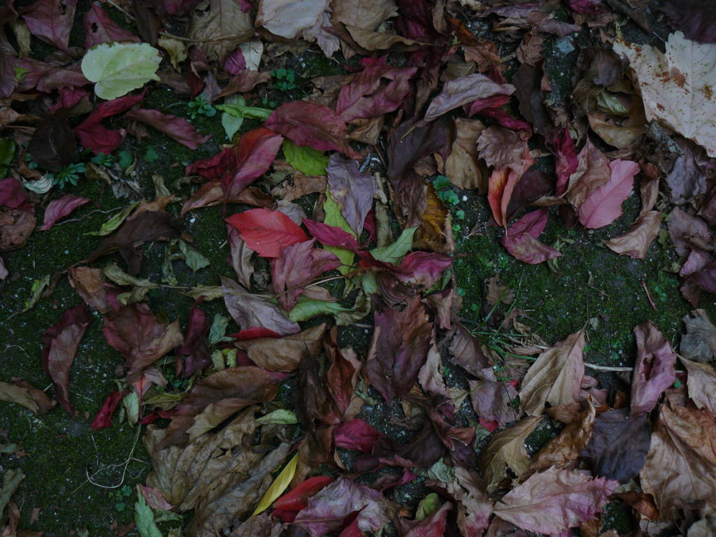 P1040620 (FILEminimizer)