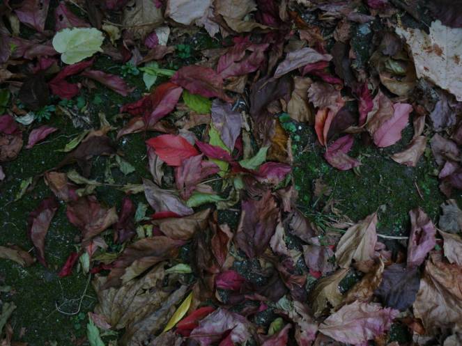 P1040620 (FILEminimizer)