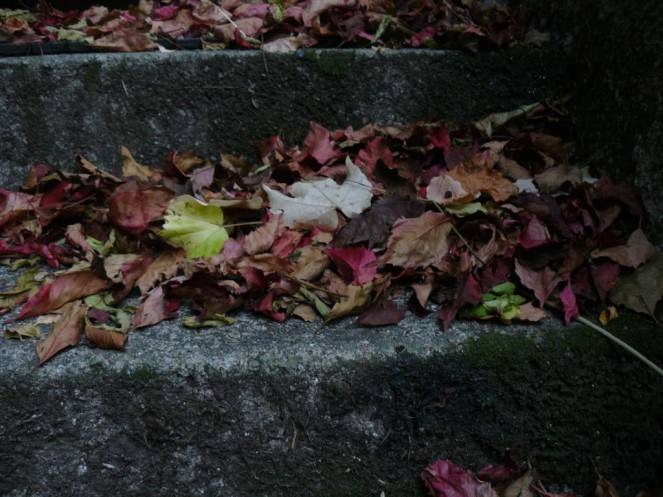 P1040621 (FILEminimizer)