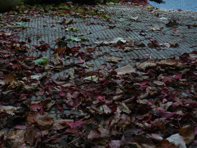 P1040625 (FILEminimizer)