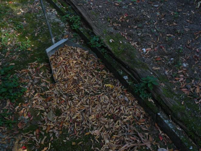 P1040666 (FILEminimizer)