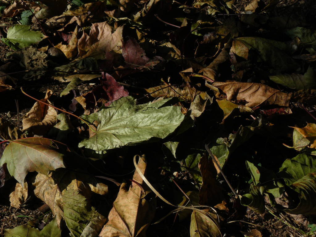 P1040693 (FILEminimizer)