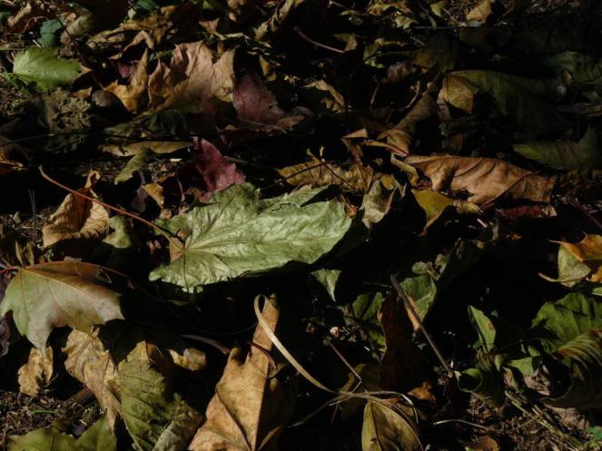 P1040693 (FILEminimizer)