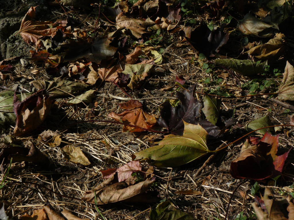 P1040694 (FILEminimizer)