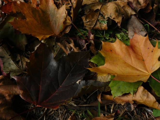 P1040709 (FILEminimizer)