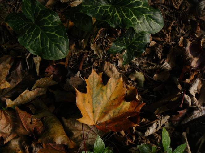 P1040711 (FILEminimizer)