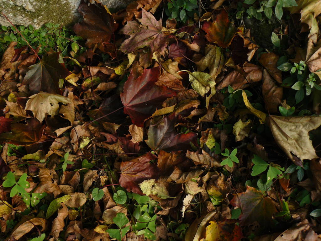 P1040715 (FILEminimizer)