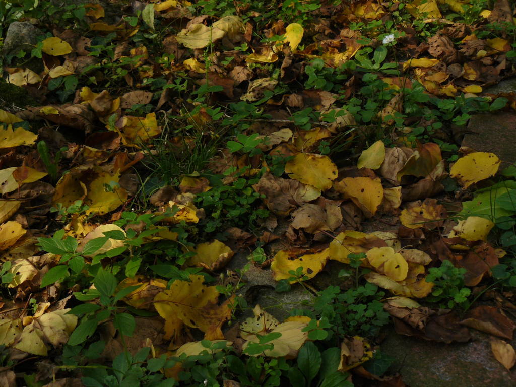 P1040716 (FILEminimizer)