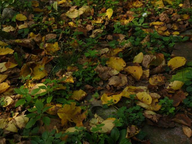 P1040716 (FILEminimizer)