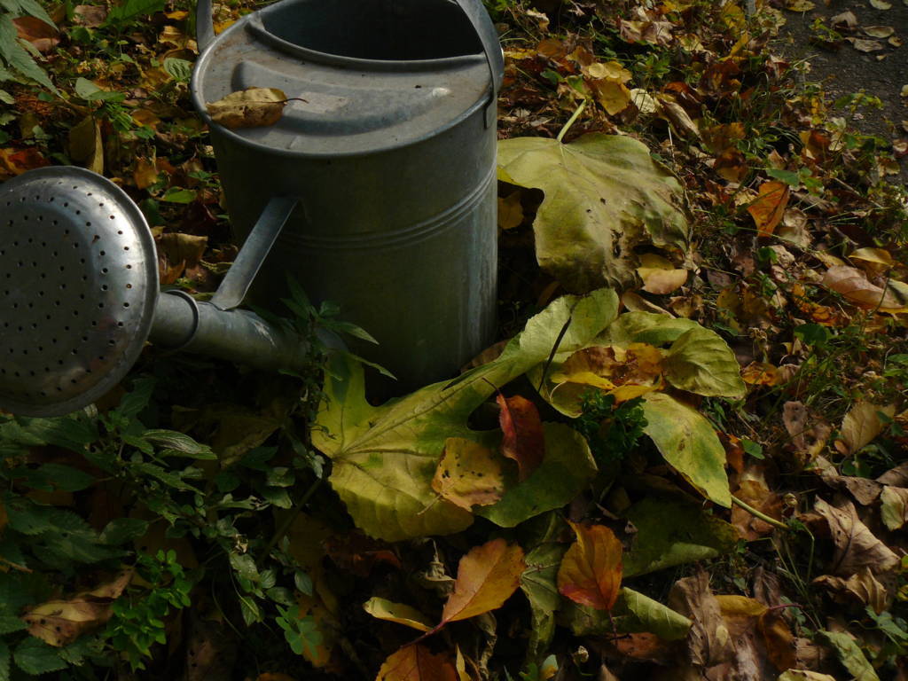 P1040717 (FILEminimizer)