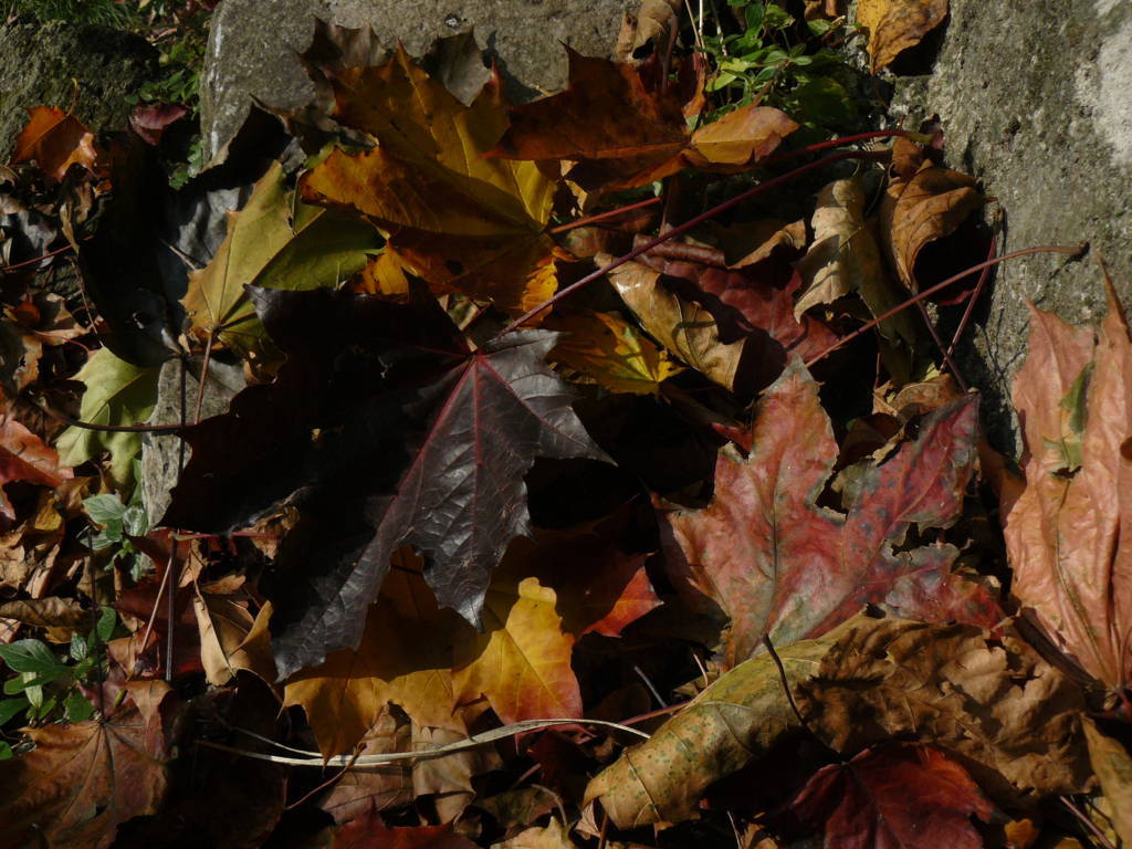 P1040740 (FILEminimizer)