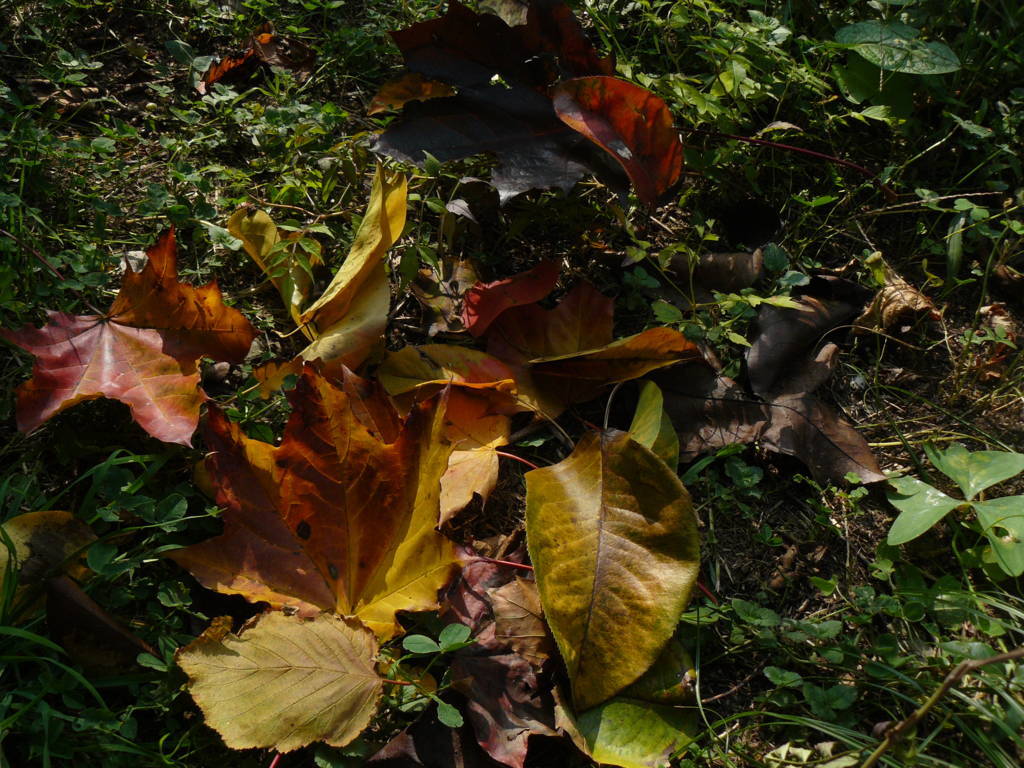 P1040742 (FILEminimizer)