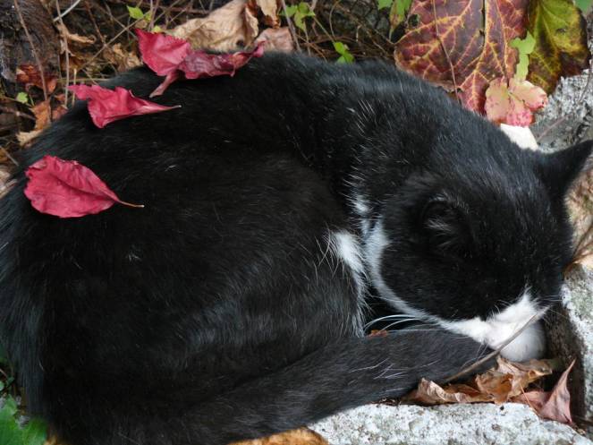 P1040759 (FILEminimizer)