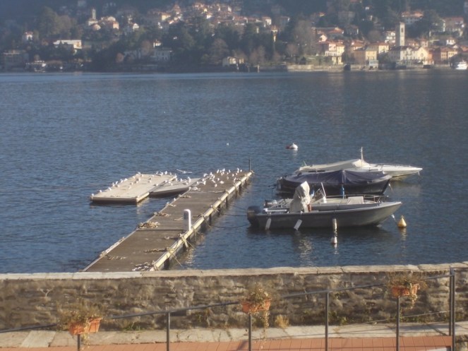 dscn1434 (fileminimizer)