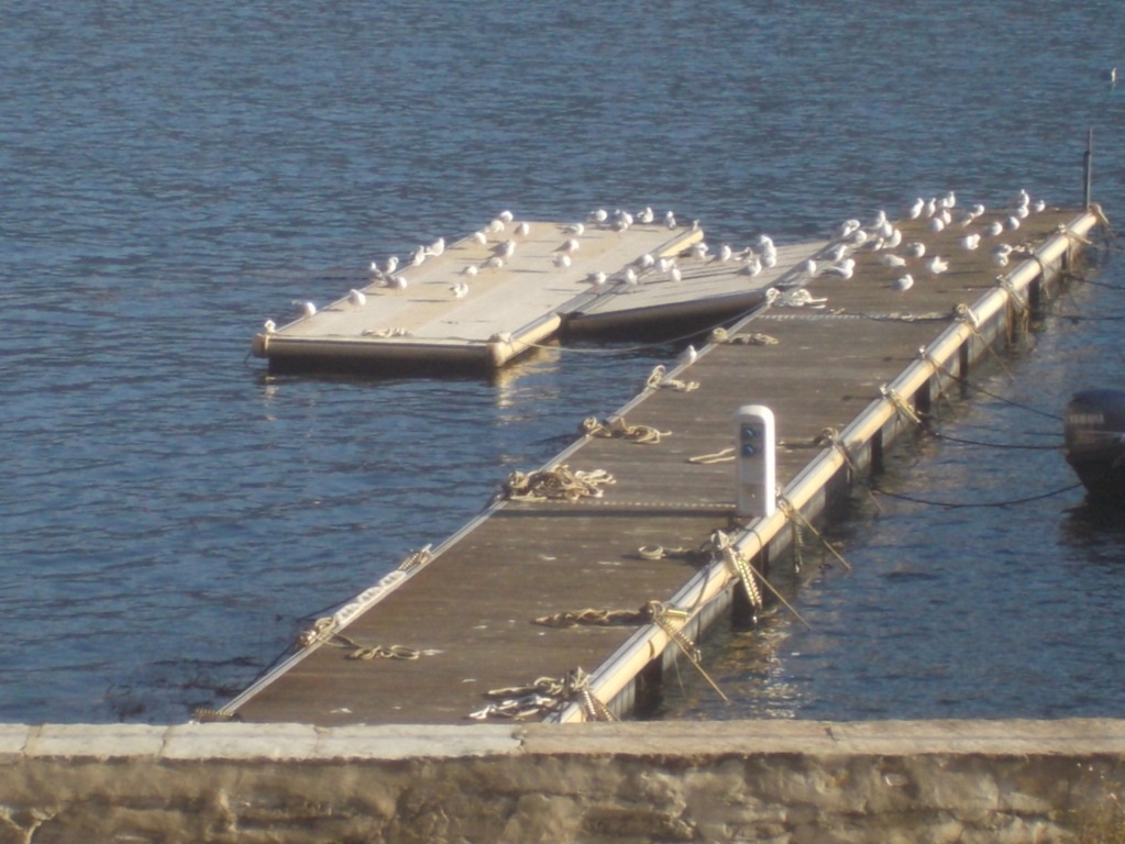 dscn1435 (fileminimizer)