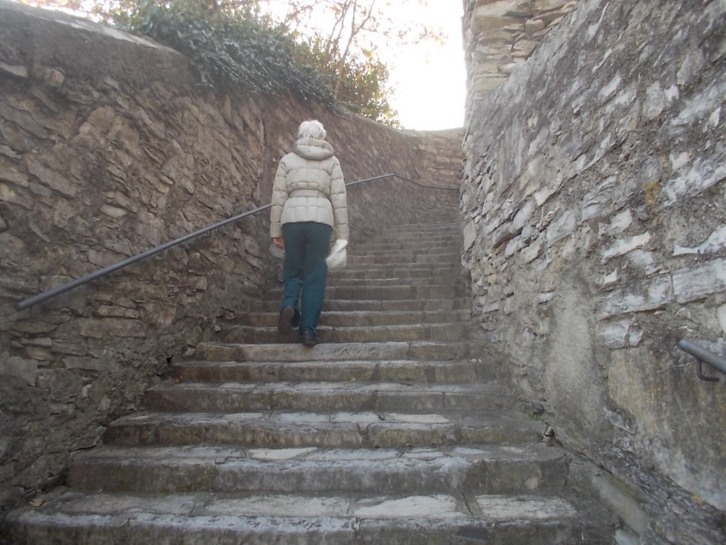 dscn1448 (fileminimizer)