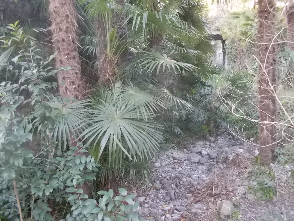 dscn1451 (fileminimizer)