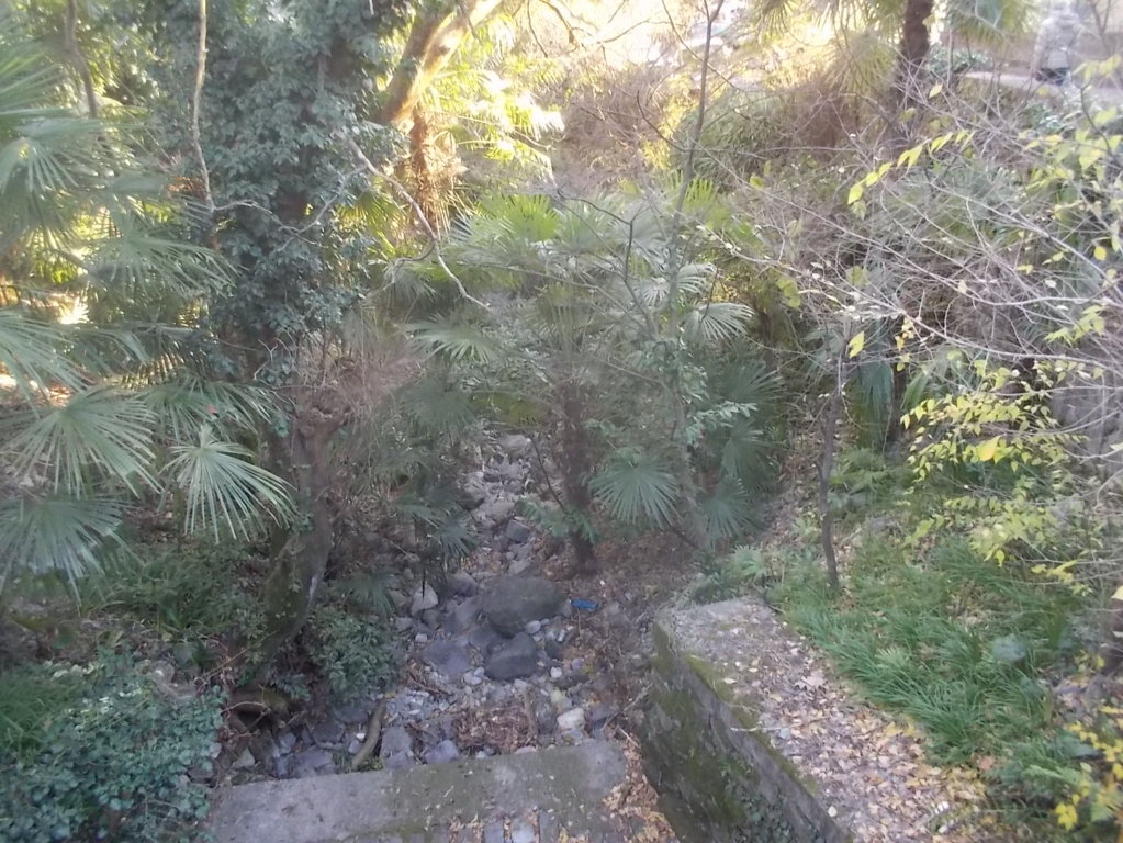 dscn1453 (fileminimizer)