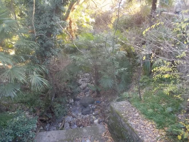 dscn1453 (fileminimizer)