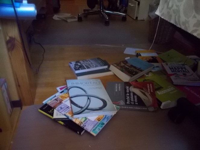 dscn1471 (fileminimizer)