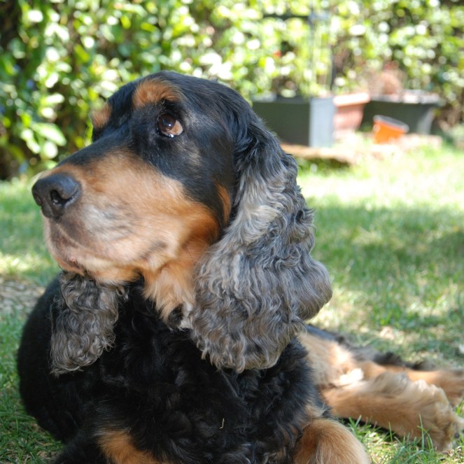 img_20180828_224247_411-2-1