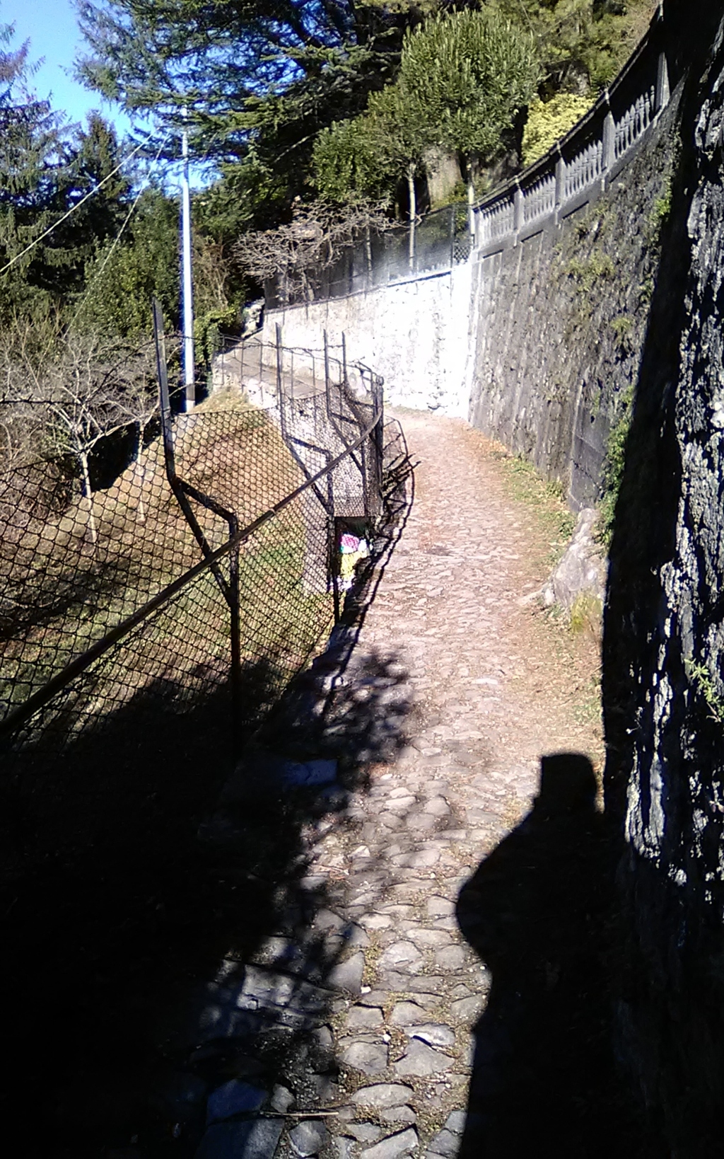 img_20190128_140155 (fileminimizer)