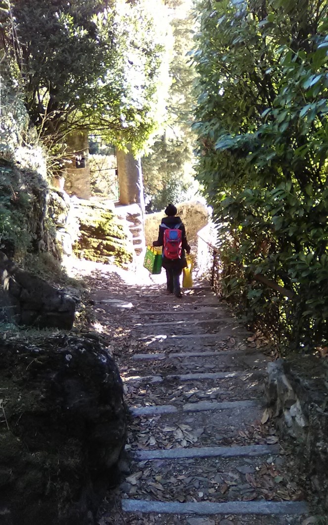 img_20190128_140230 (fileminimizer)