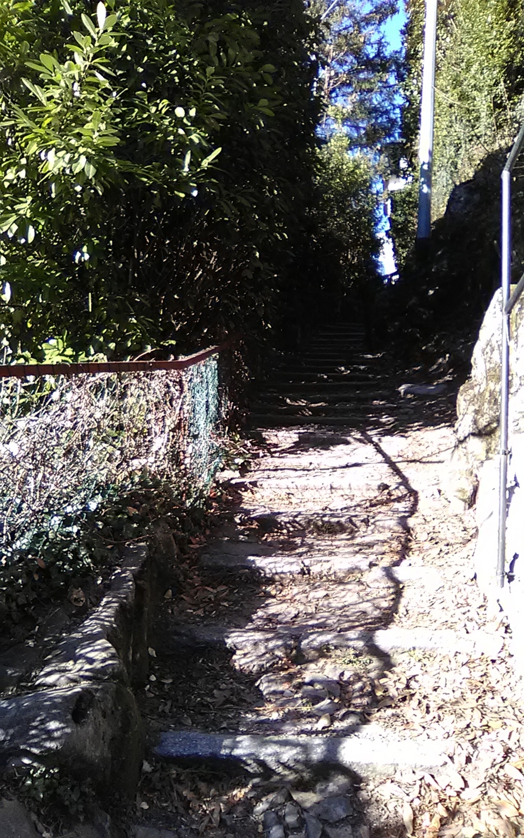 img_20190128_140250 (fileminimizer)