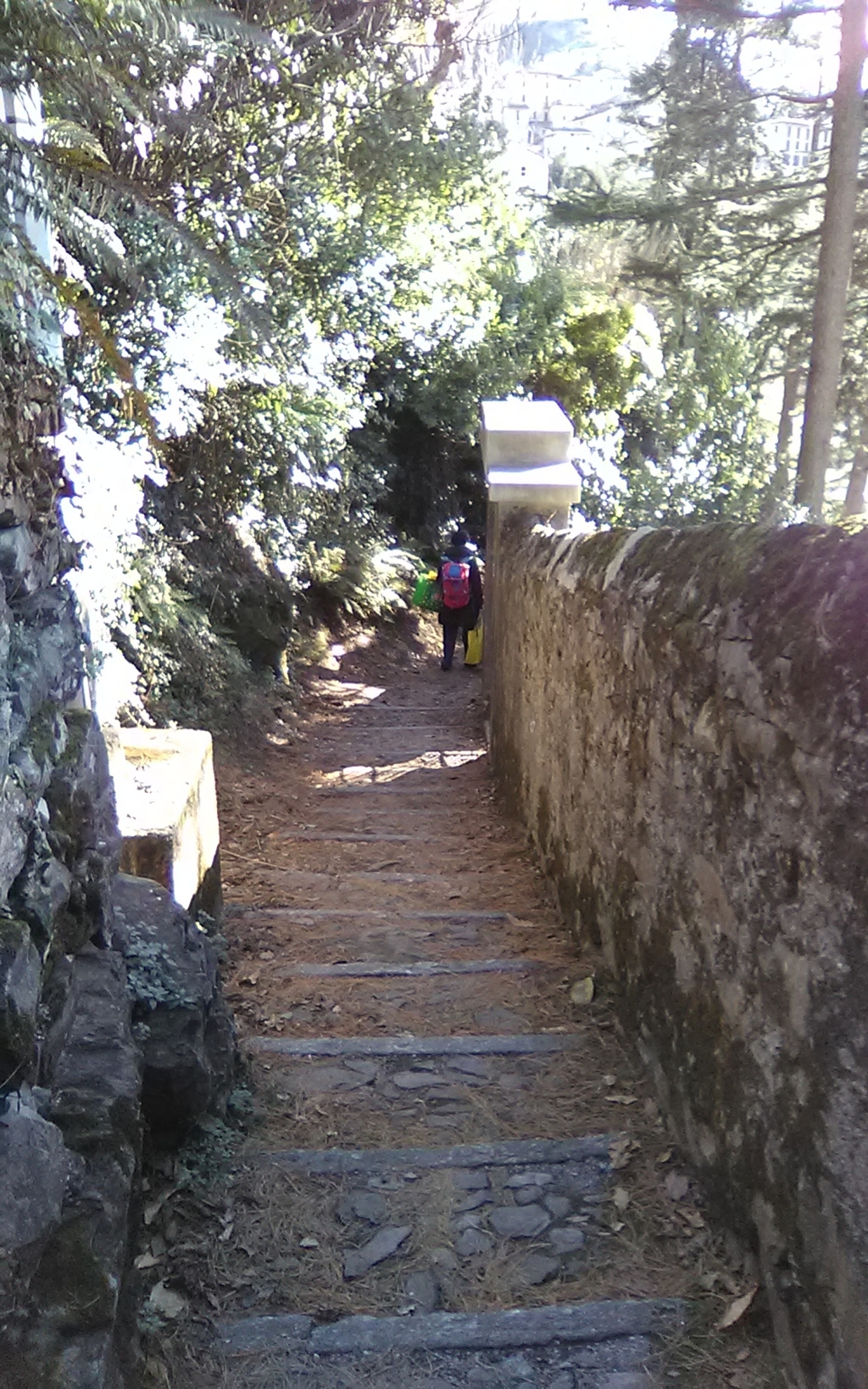 img_20190128_140314 (fileminimizer)