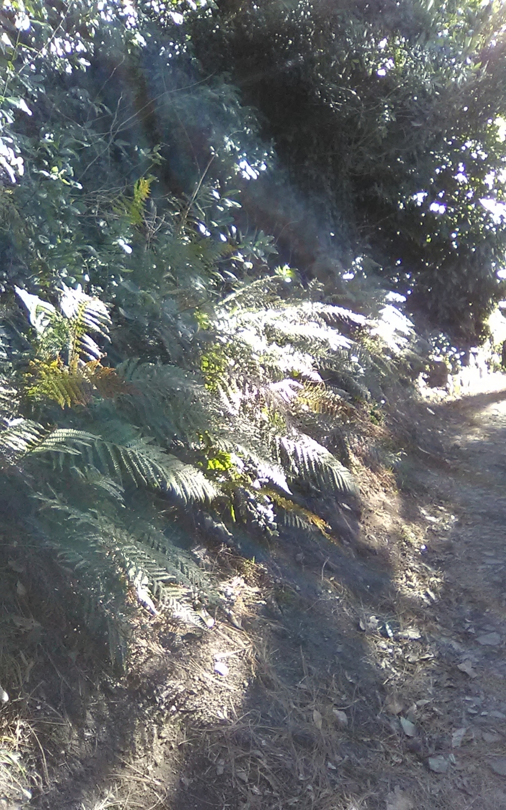 img_20190128_140329 (fileminimizer)