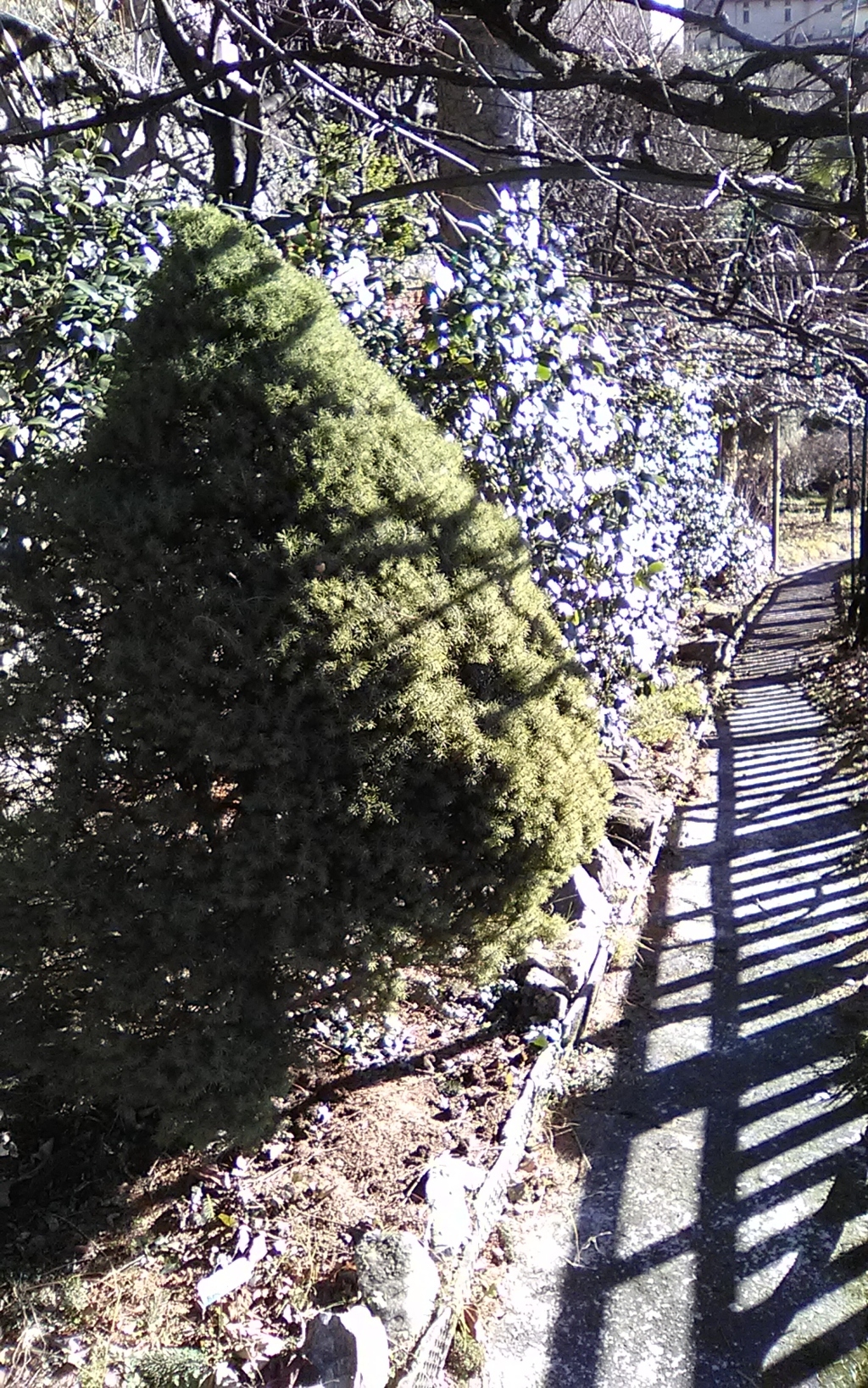 img_20190128_140551 (fileminimizer)