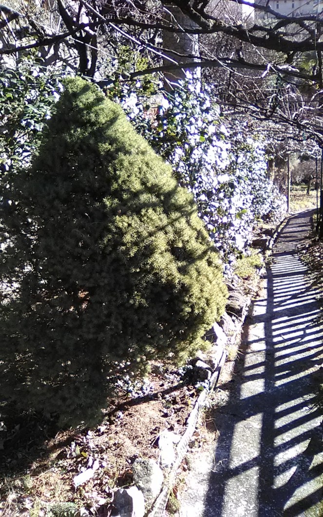 img_20190128_140551 (fileminimizer)