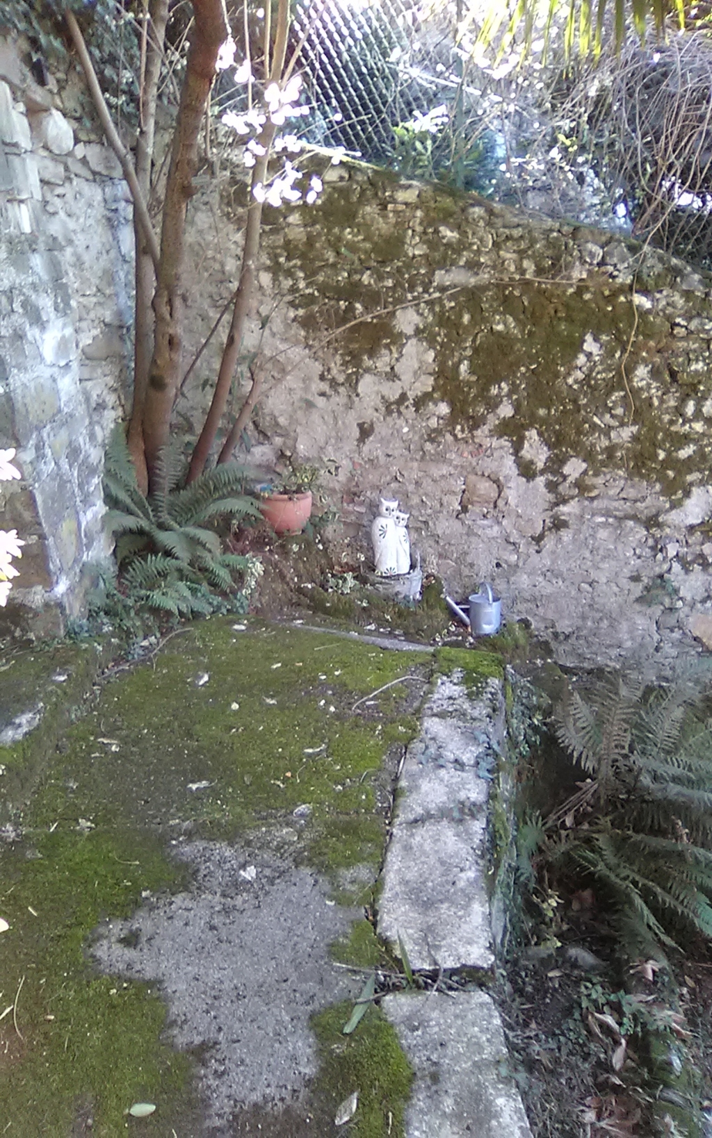 img_20190128_140707 (fileminimizer)