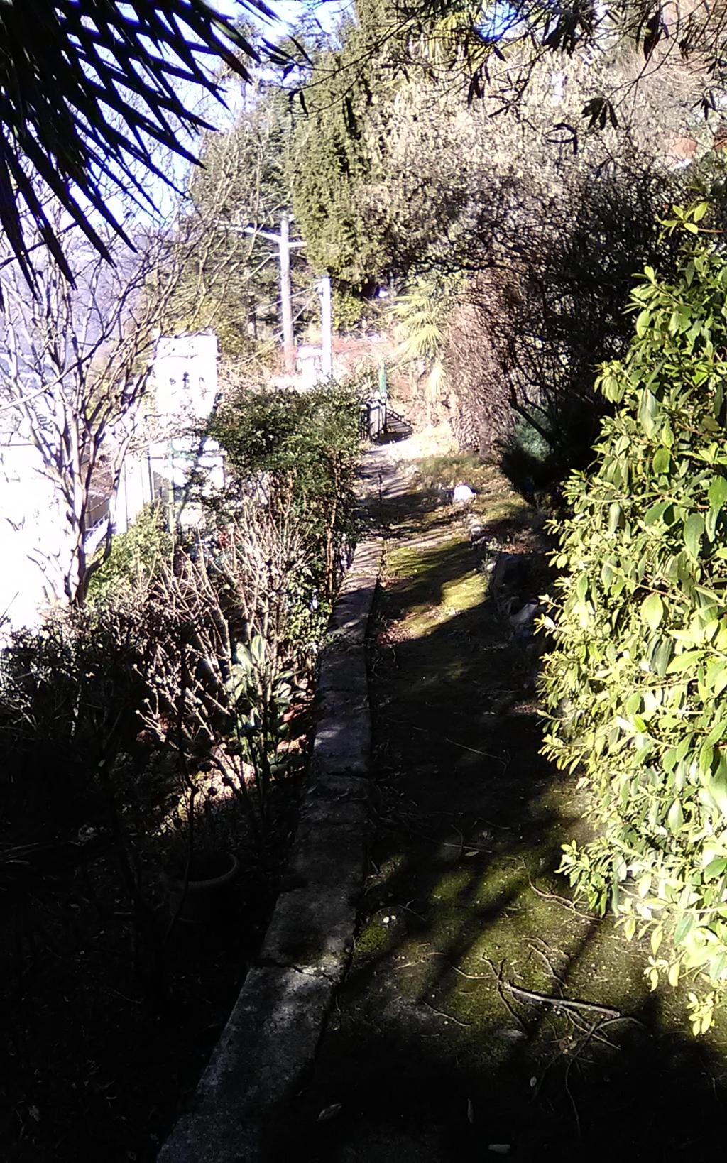 img_20190128_140719 (fileminimizer)