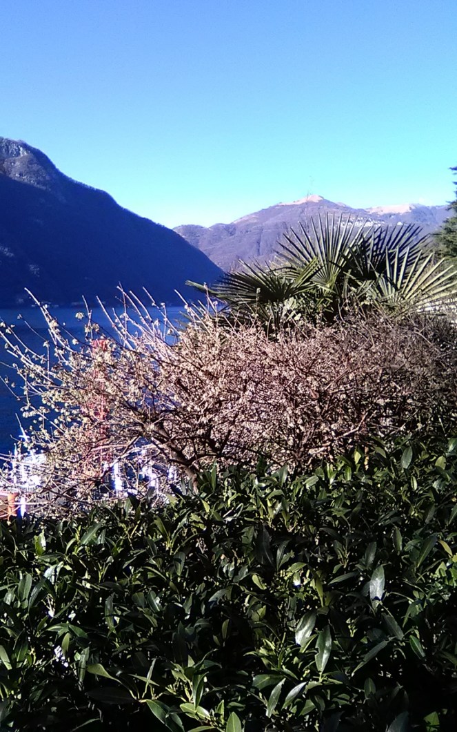 img_20190128_140807 (fileminimizer)