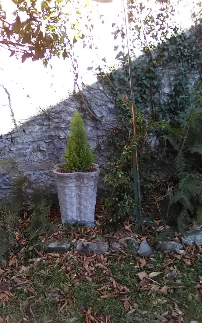 img_20190128_140814 (fileminimizer)