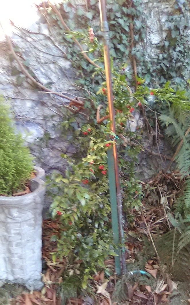 img_20190128_140821 (fileminimizer)