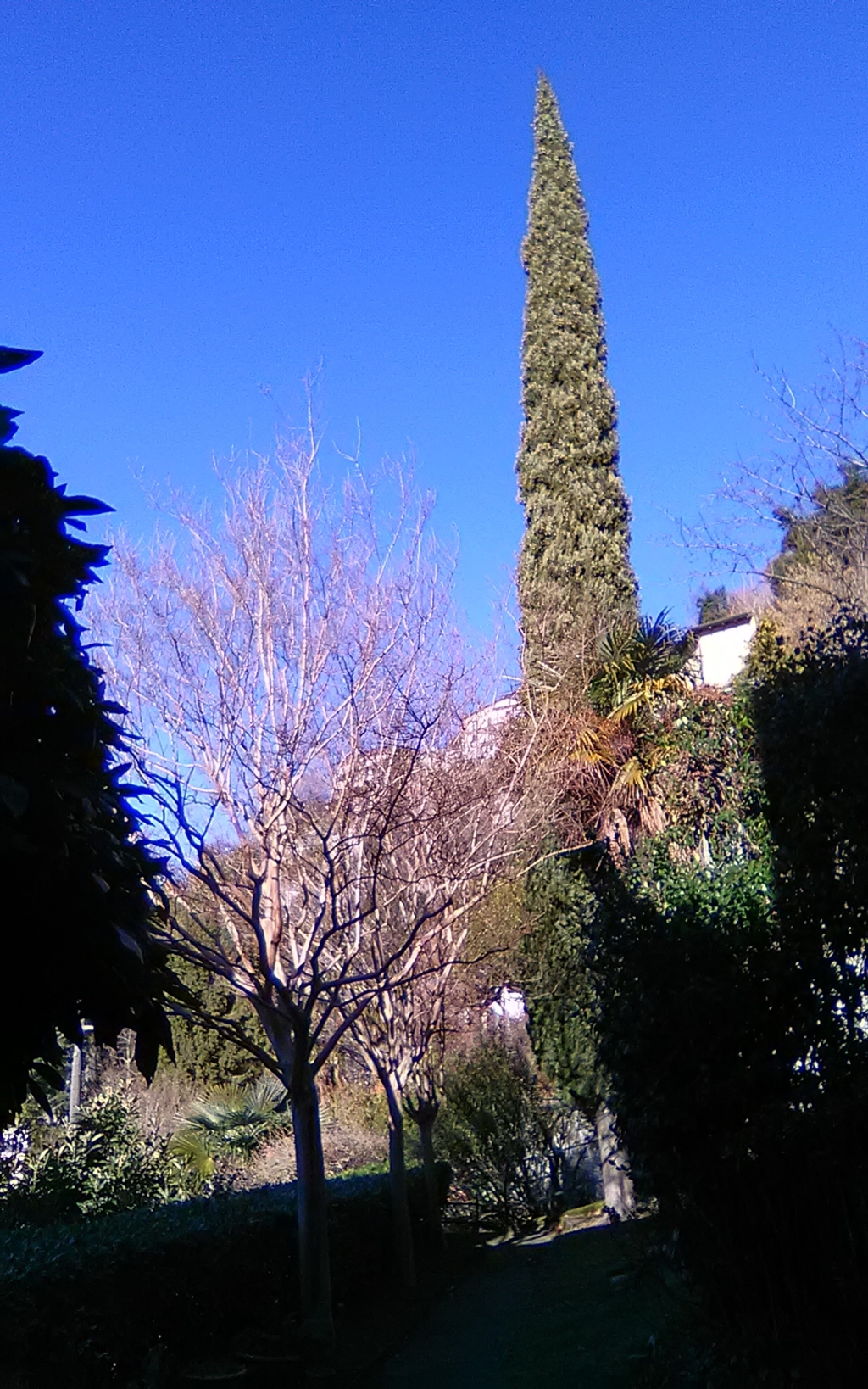 img_20190128_142851 (fileminimizer)