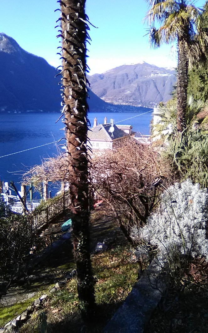 img_20190128_142943 (fileminimizer)