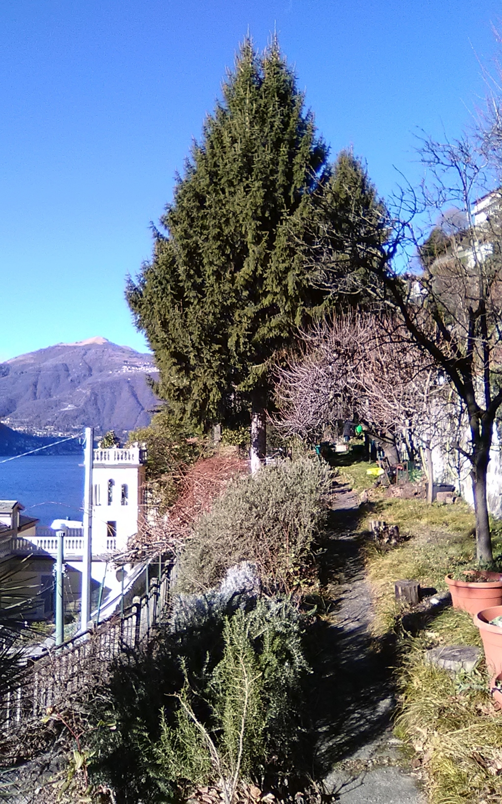 img_20190128_143007 (fileminimizer)