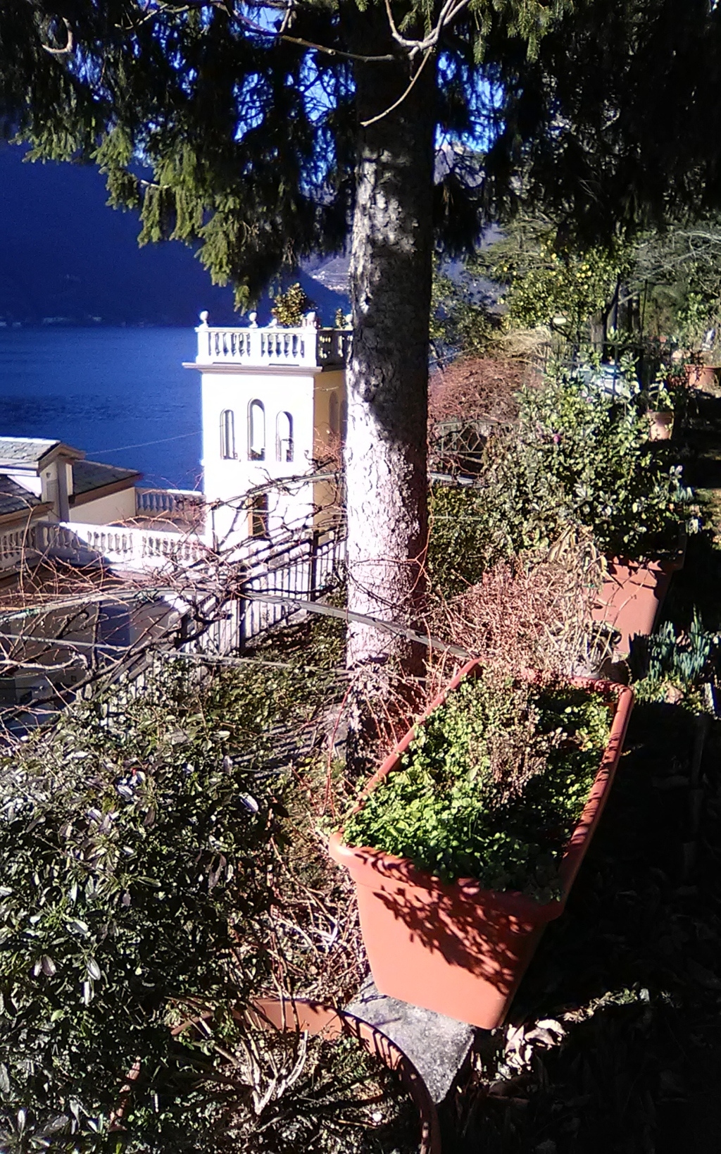 img_20190128_143028 (fileminimizer)