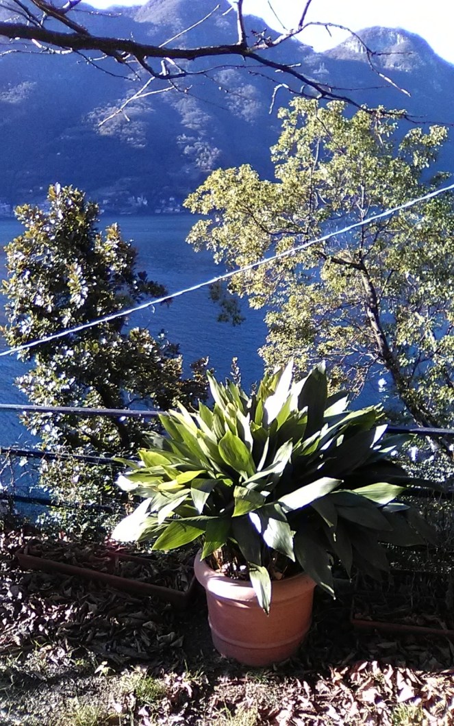 img_20190128_143132 (fileminimizer) (fileminimizer)