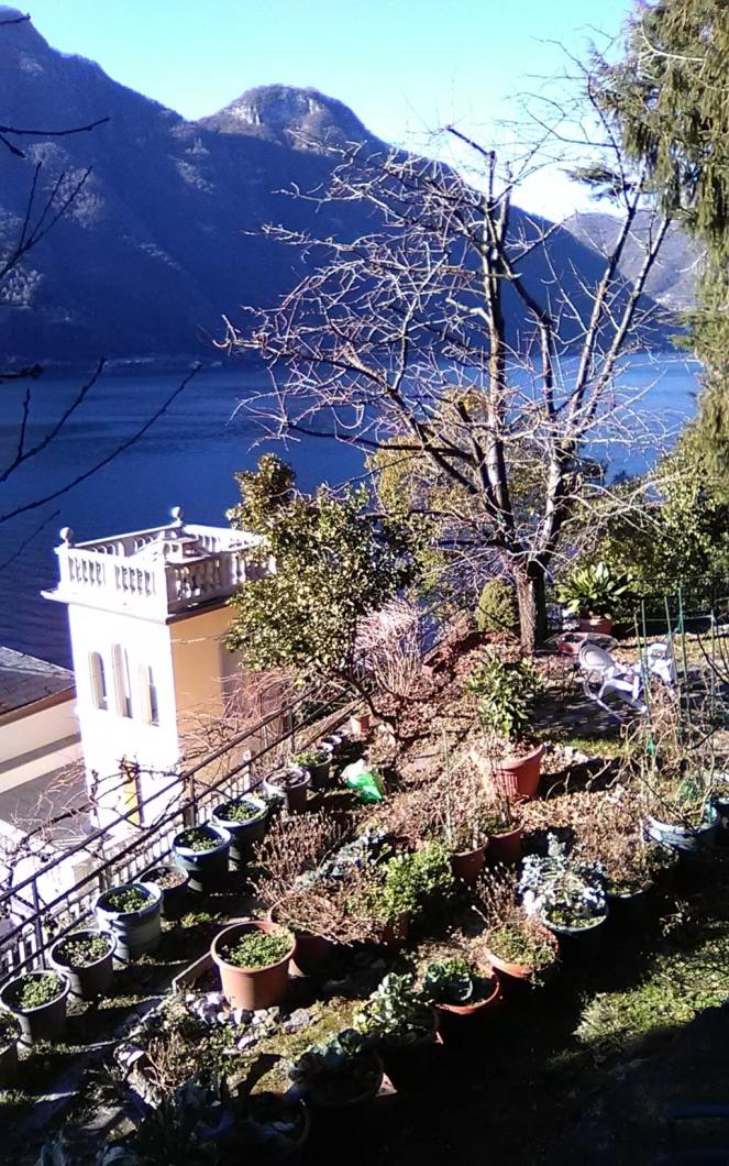 img_20190128_143315 (fileminimizer) (fileminimizer)-min