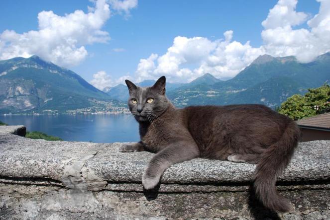 51544684_2232075023702056_2357932338219843584_o