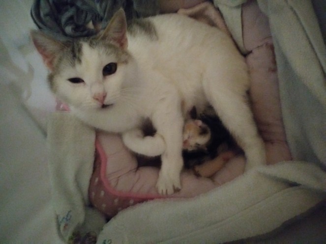 20190301_203456 (FILEminimizer)