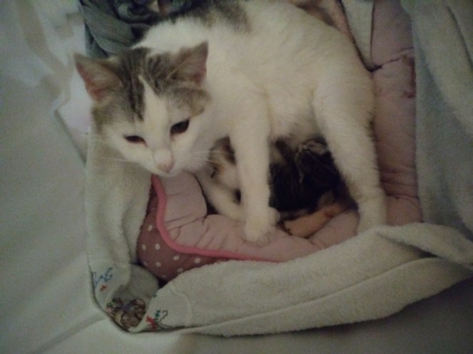 20190301_203506 (FILEminimizer)